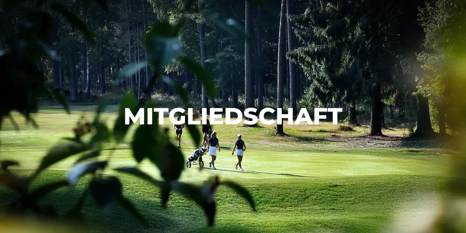 golfclub-nuernberg-kacheln-mitgliedschaft-01